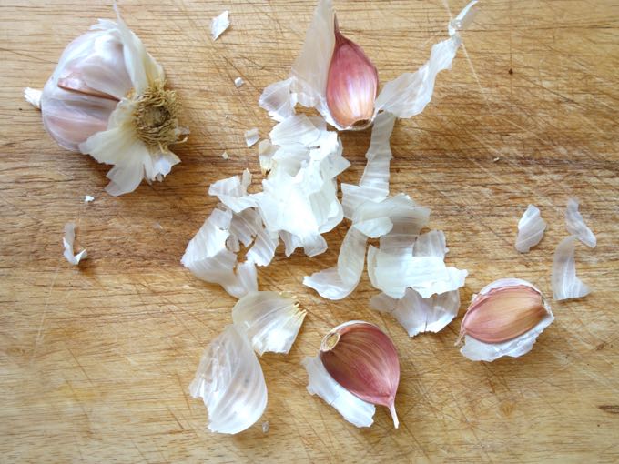Garlic