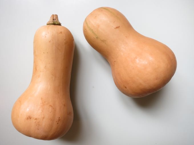 Butternut Squash