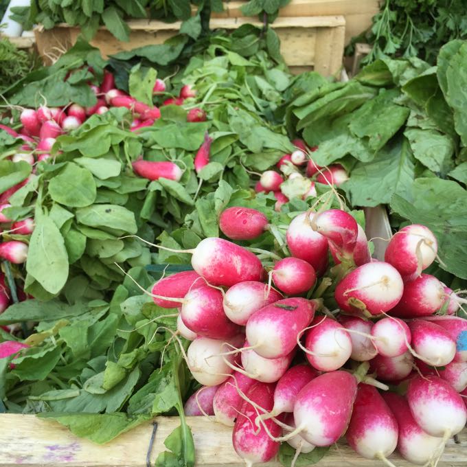 Radishes, Paris Market