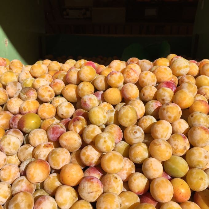 Plums, Market, Paris