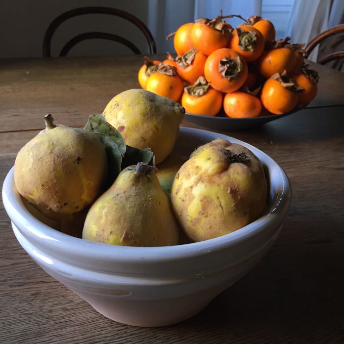 Quince and Persimmons Elizabeth Minchilli 
