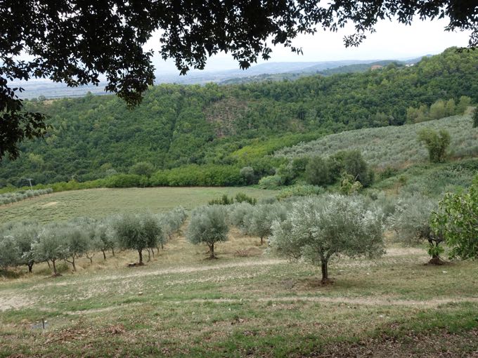 Umbria, Elizabeth MInchilli