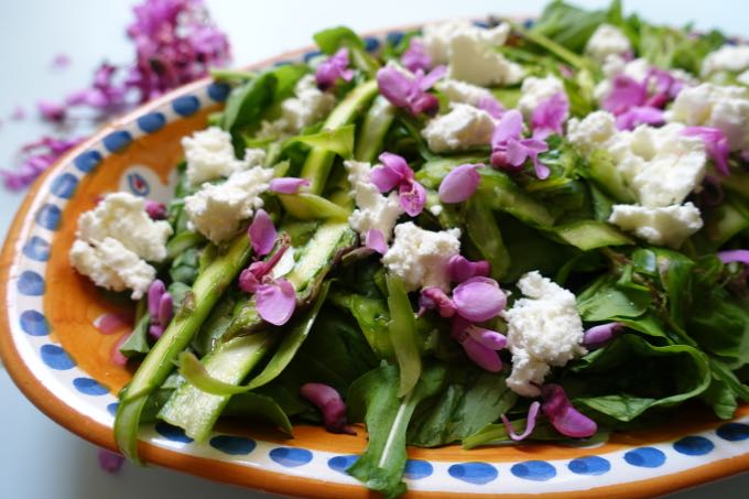 Asparagus Salad Elizabeth Minchilli