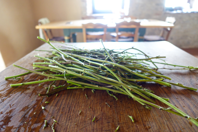 Wild Asparagus Elizabeth Minchilli