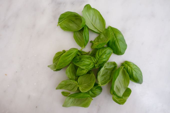 Basil, Elizabeth MInchlili