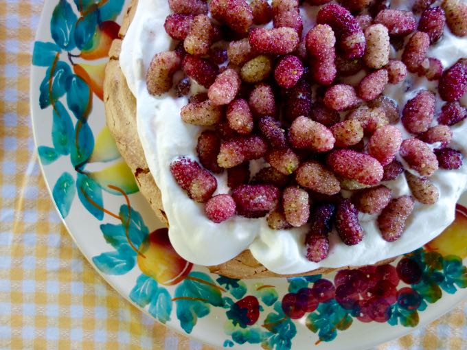 Mulberry Pavlova - 1 (1)