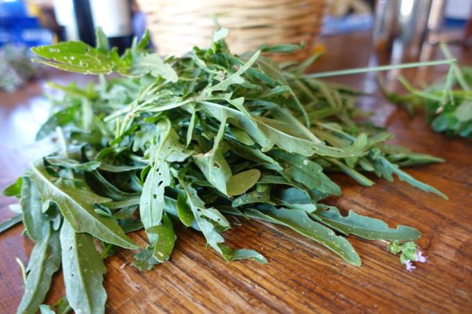 Zucchini and Arugula Salad - 1