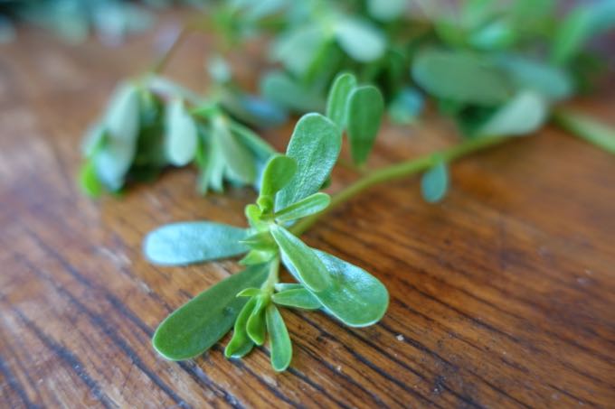 Zucchini and Arugula Salad - 2