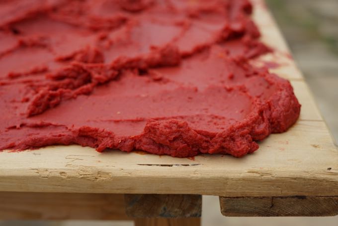 Tomato Paste in Sicily