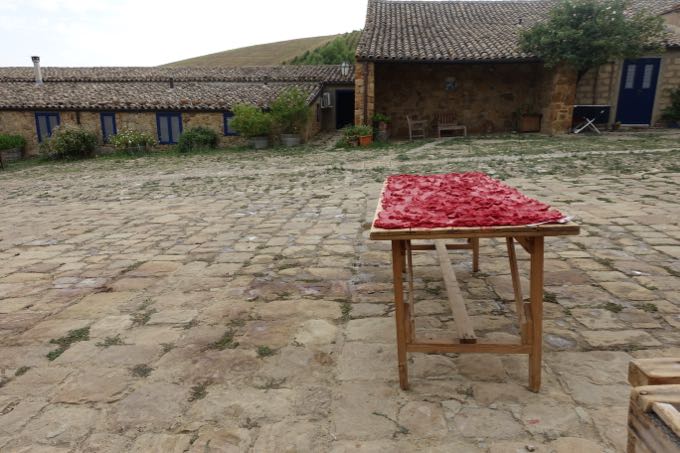 Tomato Paste in Sicily