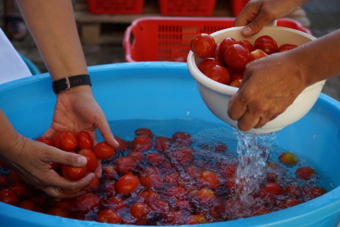 Tomato Paste in Sicily