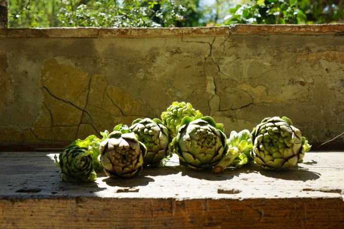 Artichokes