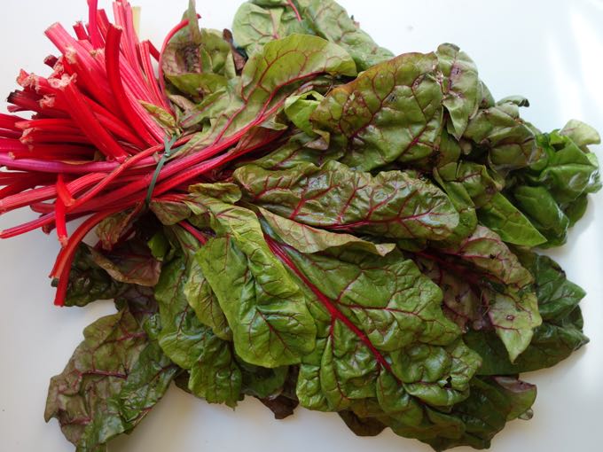 Swiss Chard 