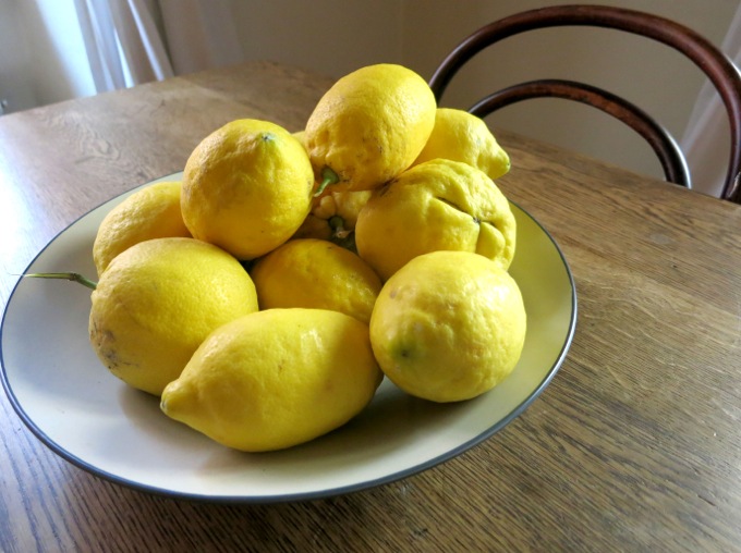 Lemons for Pasta with Artichokes, peas and mint - 17