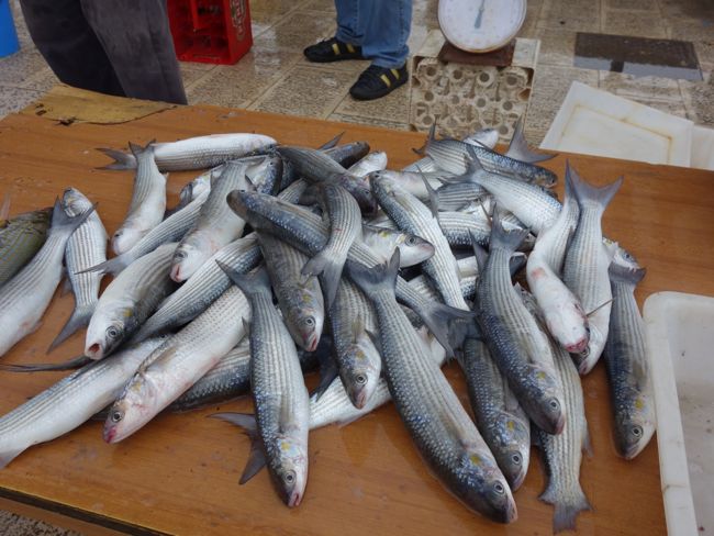 Fish Market, Bari, Puglia