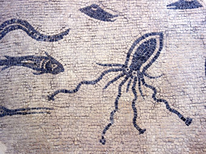 Roman Octopus Mosaic, Rimini, Elizabeth Minchilli in Rome