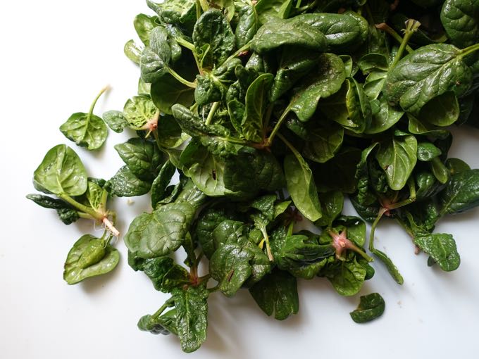 Spinach_Salad_Elizabeth_Minchilli - 1