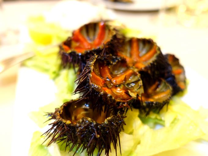 Antiche Mura, Polignano: sea urchins