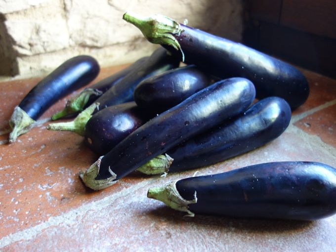 Eggplant Parmigiana Elizabeth Minchilli In Rome1