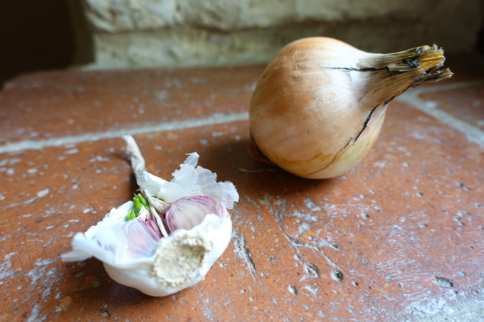 Onion and Garlic Elizabeth Minchilli
